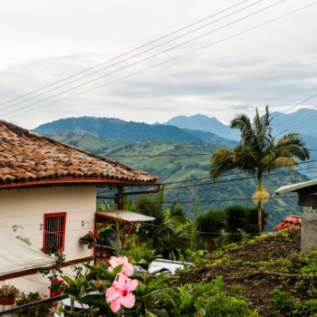 Monitoreo y evaluación del Programa Nespresso AAA de Calidad Sostenible en Colombia
